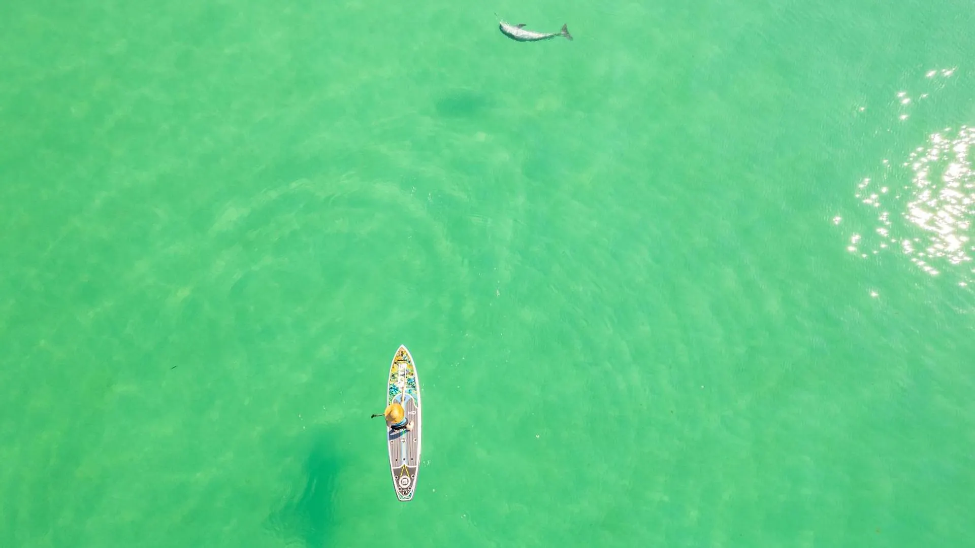 Apartment Shoreline Towers 1063- By Holiday Isle Properties Destin