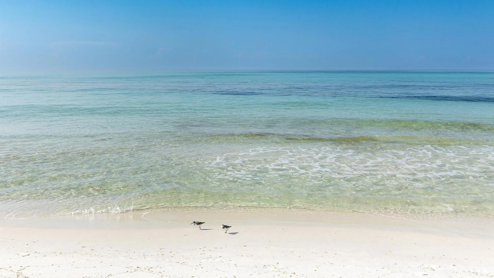 Shoreline Towers 1063- By Holiday Isle Properties Destin 0*,